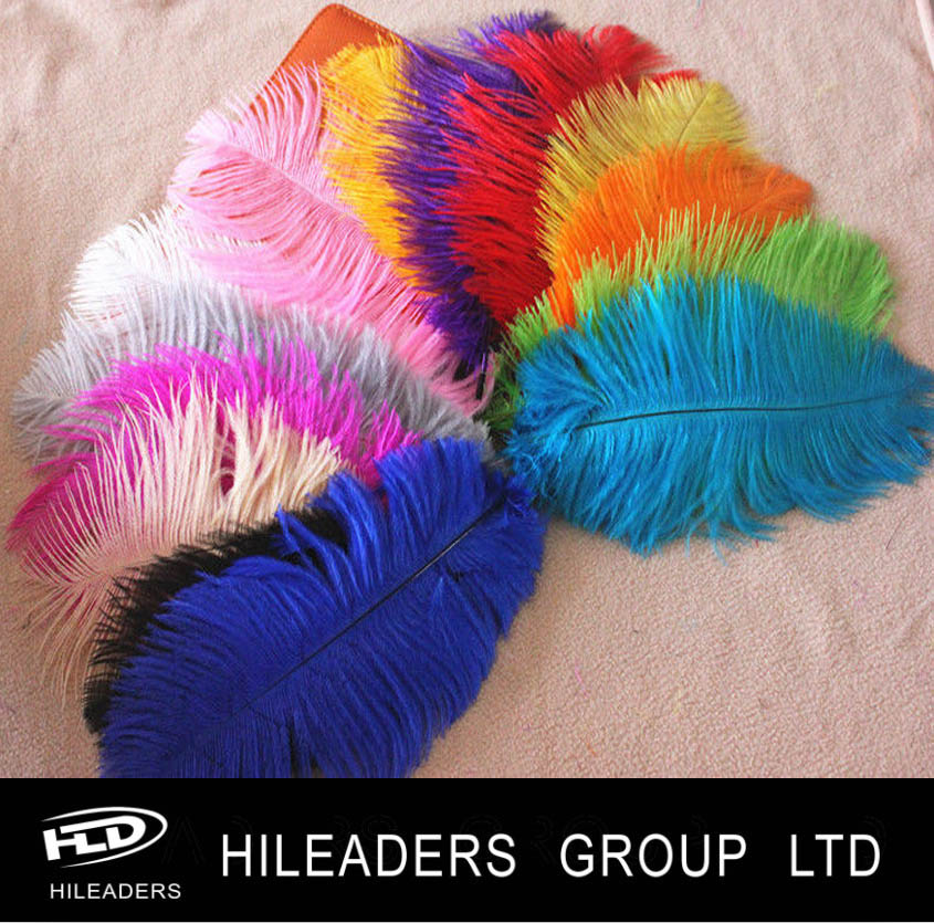 RT3255 Ostrich Feather Wholesale Feathers Sale