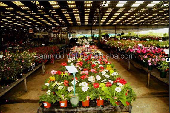 sammoon100w低価格が成長している光と温室用モジュラー植物問屋・仕入れ・卸・卸売り