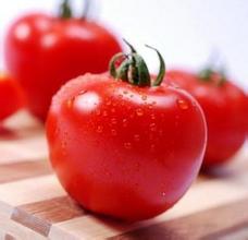 Canned Tomato Paste 400g/tin easy open