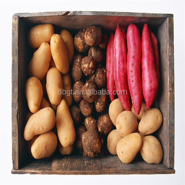china potato bulk export and potato packing bag