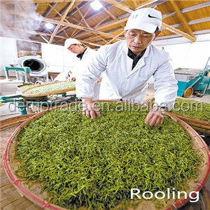 Very effective and easy to use weight loss drink green tea export