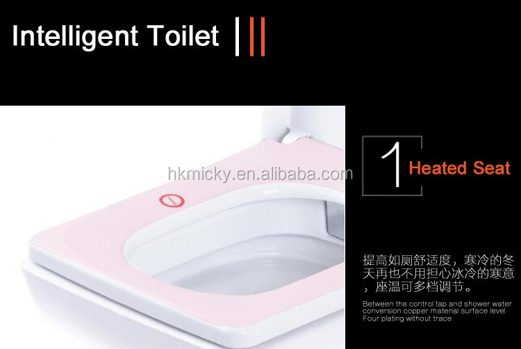 intelligent toilet 2017