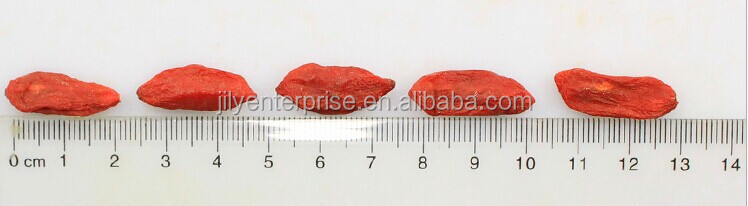 100% organic goji berries Ningxia goji berries dried goji/certified organic goji berry/fresh goji be