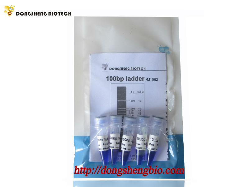 M1062 100bp ladder