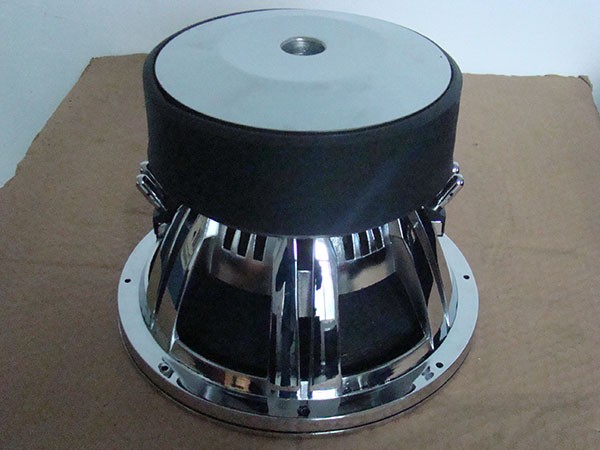 10 inch subwoofer.JPG