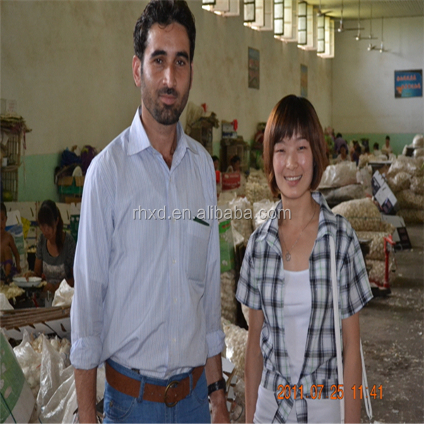 2014 natural garlic price wholesale garlic