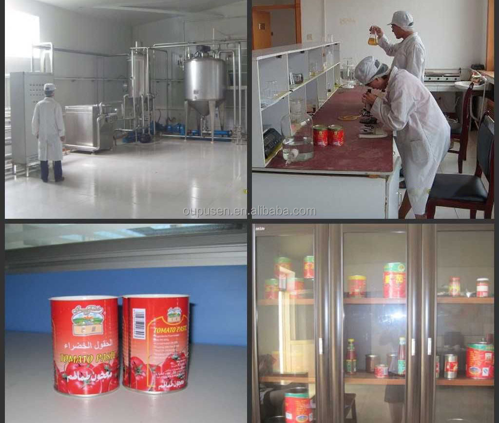 In Tinned Tomato Paste Best Tomato Paste