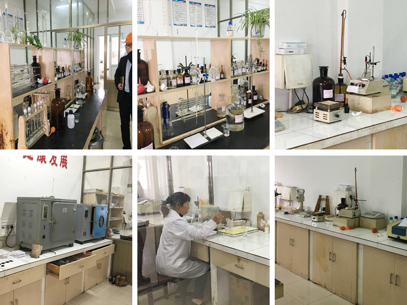 lt laboratory02