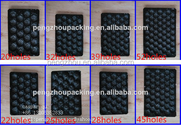 fruit and vegetable pp serving tray