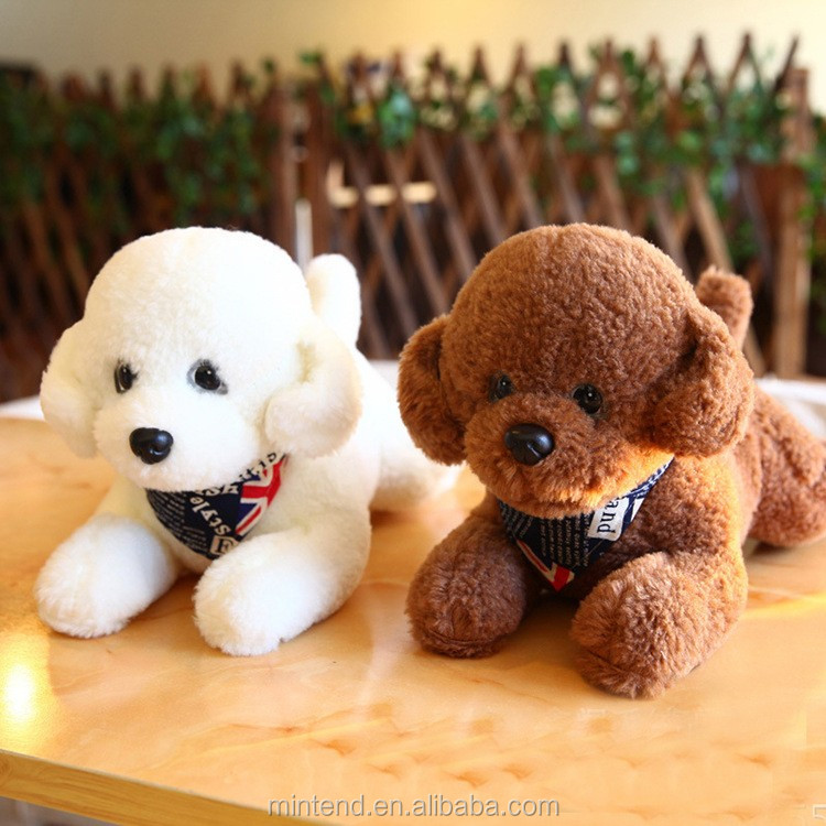 teddy dog shop