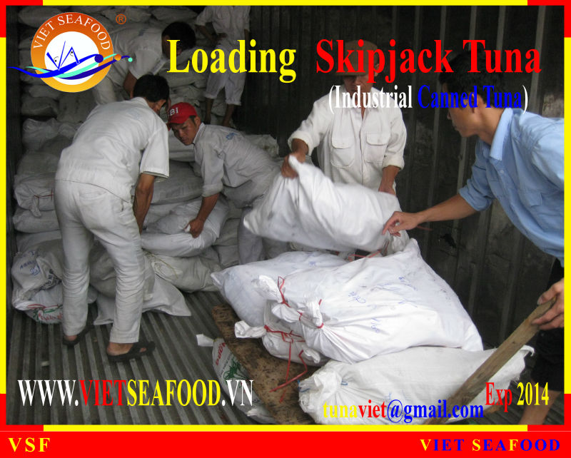 LOADING SKIPJACK TUNA