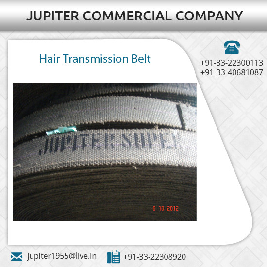 最高品質髪伝送フラットベルトで異なるサイズ仕入れ・メーカー・工場