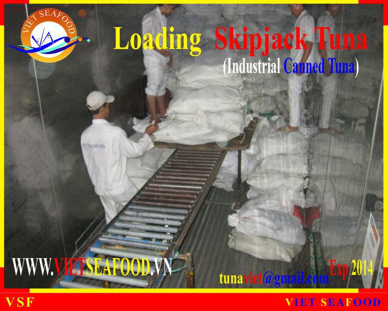 LOADING SKIPJACK TUNA