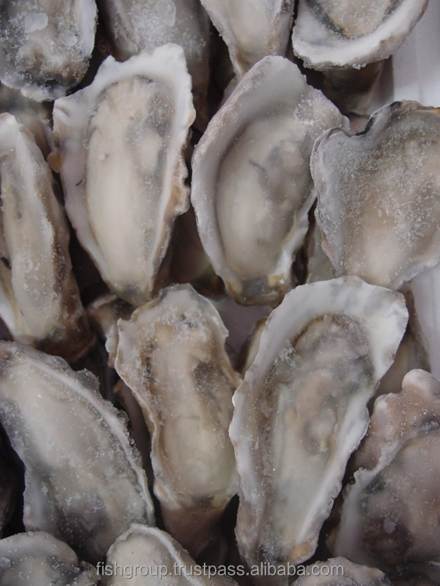 Frozen Raw Oyster Halfshell Buy Oyster Halfshell,Frozen Oyster