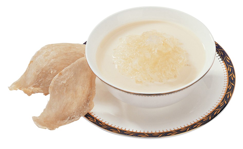 bird nest.jpg
