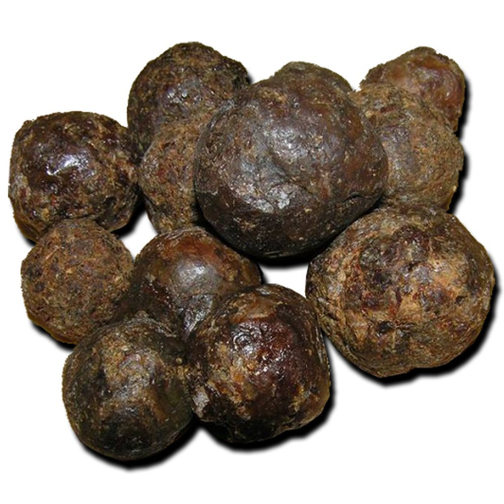 Raw Siberian Propolis. Summer 2015. Natural From Altai Region Of ...
