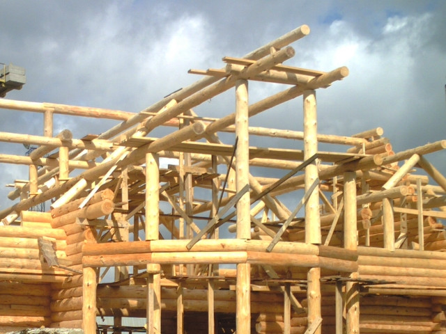 Post And Beam Log Homes From Siberian Pine And Larch Buy