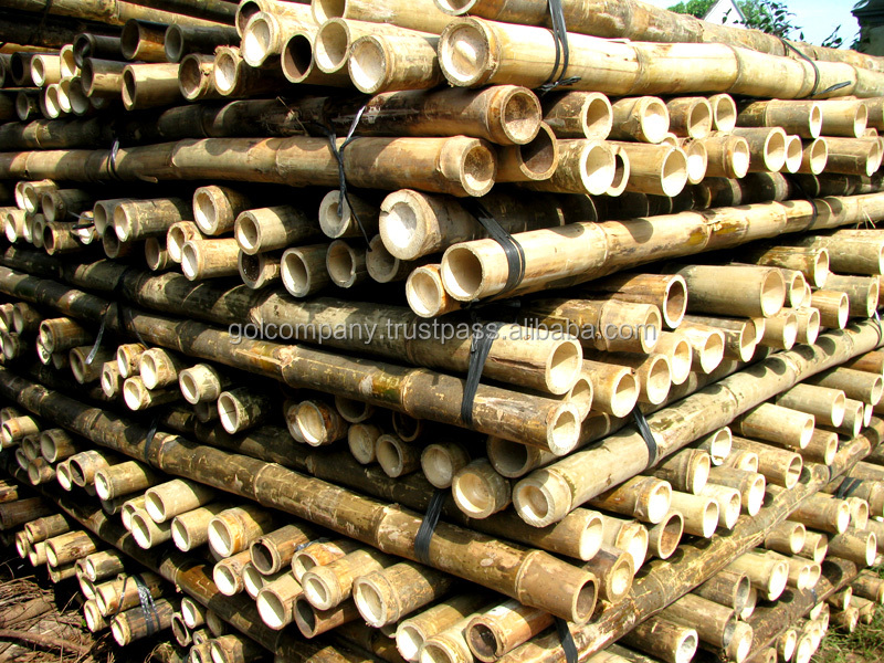 Bamboo Poles - Bamboo Stakes - Tam Vong Poles - Bamboo Cane.jpg