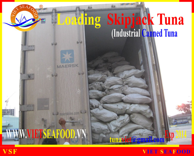 LOADING FROZEN SKIPJACK TUNA