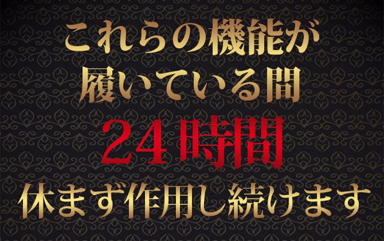 入江〜脚形状レギンス 〜仕入れ・メーカー・工場