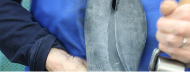 忍者の靴キャンバスブーツスニーカー日本足袋作られたナルトコスプレ衣装601空手ユニフォーム問屋・仕入れ・卸・卸売り