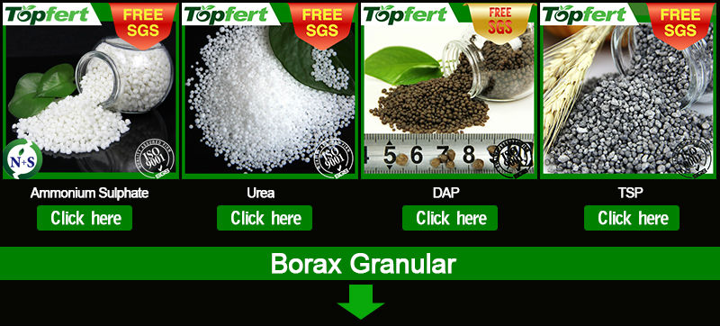 Borax Granular