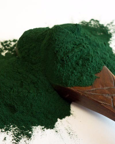spirulina-powder