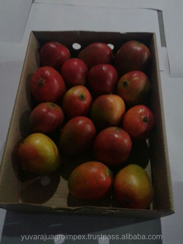 Fresh Alphonso Mangoes
