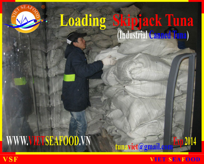 LOADING SKIPJACK TUNA W/R