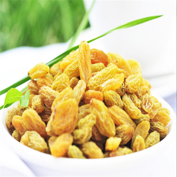 TTN 2014 ALL TYPES OF DRIED GOLDEN RAISINS PRICE FOR IMPORTERS