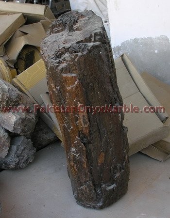 petrified-wood-rough-02.jpg