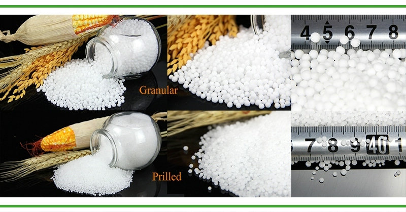 urea sample