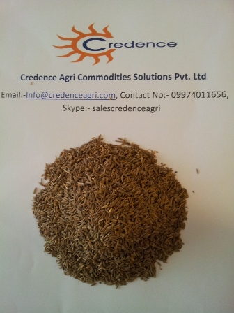 99.5% Europe Quality Cumin Seeds For Iran