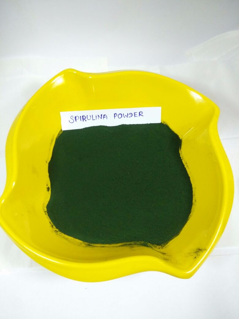 Spirulina powder