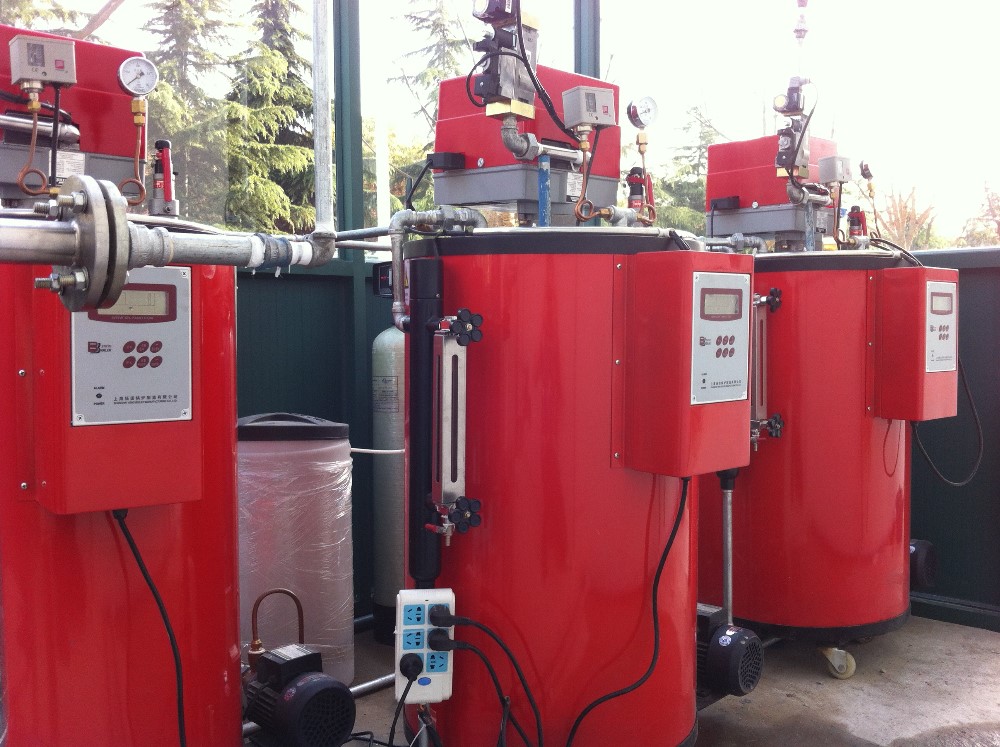 gas steam boiler