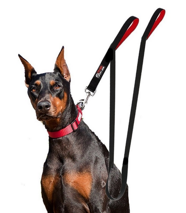 2 handles leash