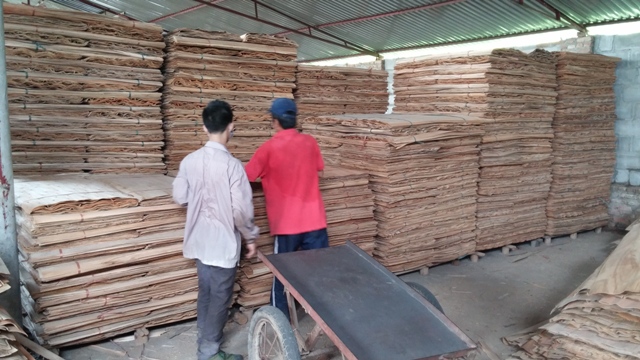 ユーカリのコア単板2.2ミリメートルの厚さ( customer@kego。 com。 vn)問屋・仕入れ・卸・卸売り