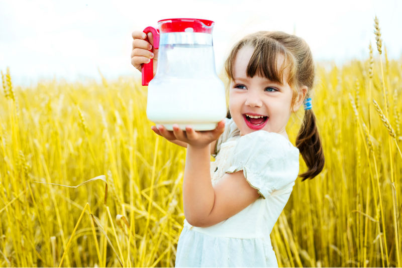Nutrawiz Instant Full Cream Milk Powder 100% Australian made