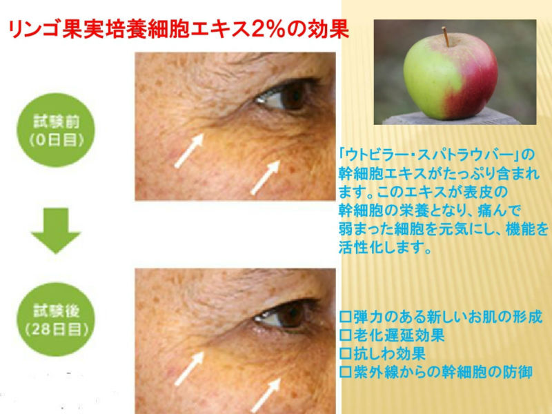 抗- 老化uvプロテクションリンゴ幹細胞血清顔の使用 問屋・仕入れ・卸・卸売り