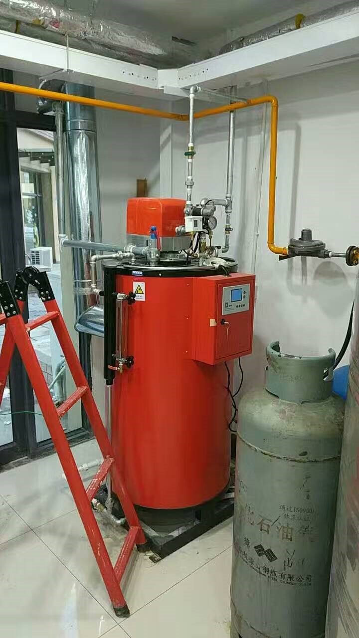 gas steam boiler