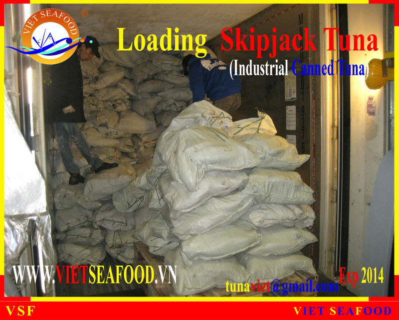LOADING FROZEN SKIPJACK TUNA