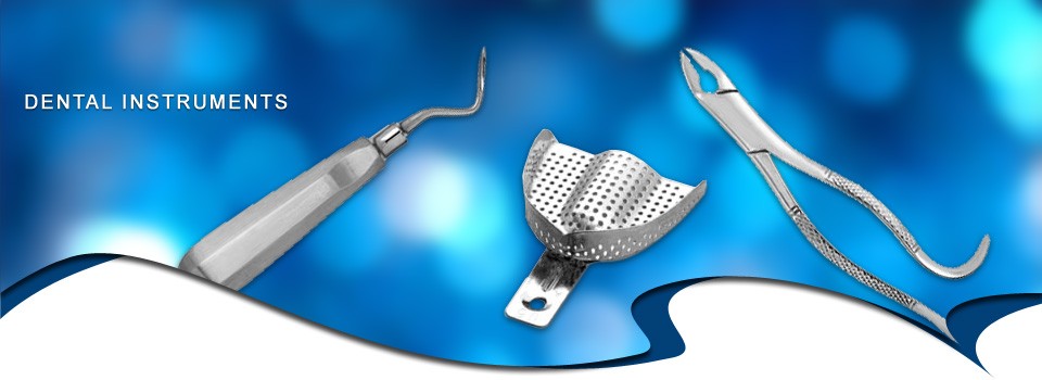 banner4.jpg