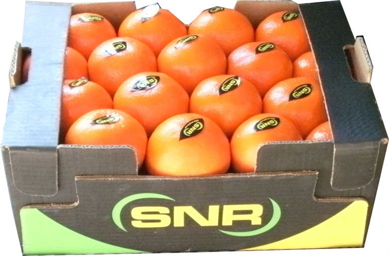 Fresh Tangerines, Oranges, Limes, Lemons