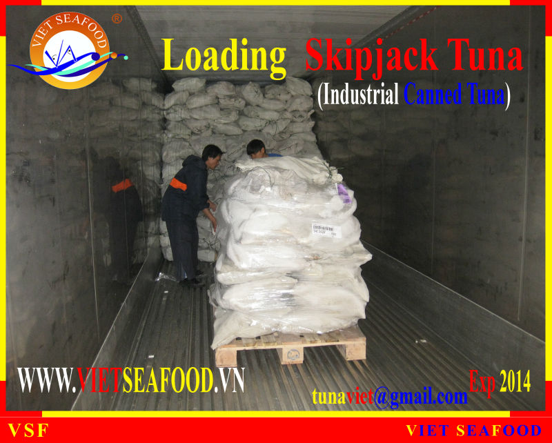 LOADING SKIPJACK TUNA W/R