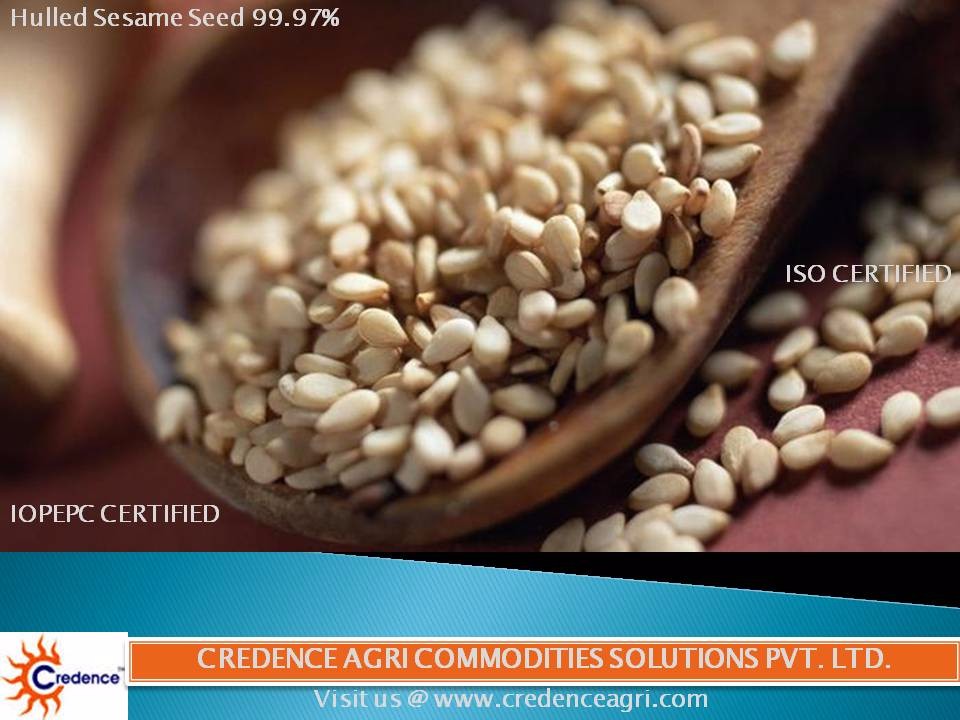 Premium Quality Highly Nutritious Sortex Hulled Sesame Seed At