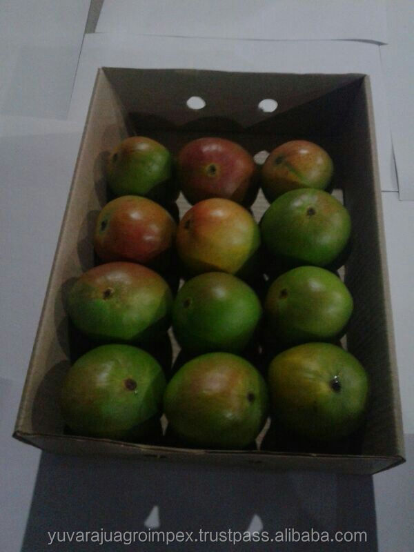 Fresh Alphonso Mangoes