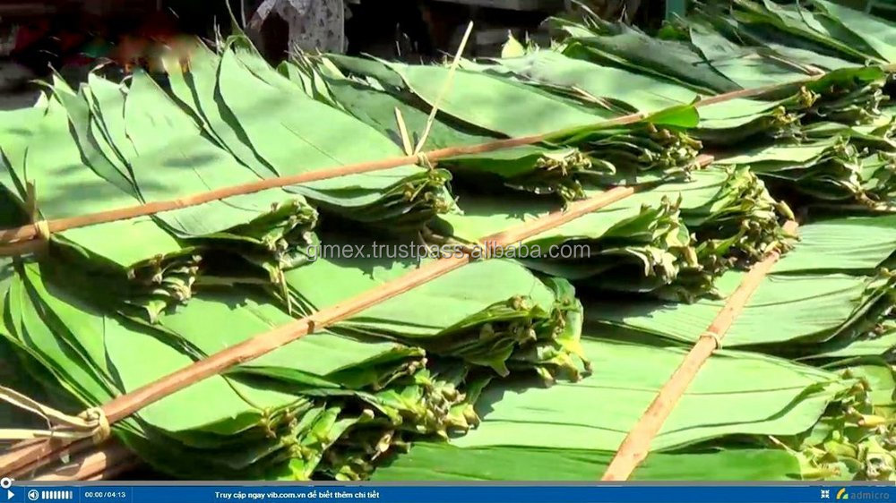 19BAMBOO LEAF.jpg