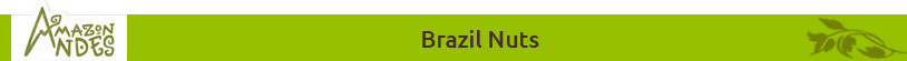 Brazil Nuts Title.jpg