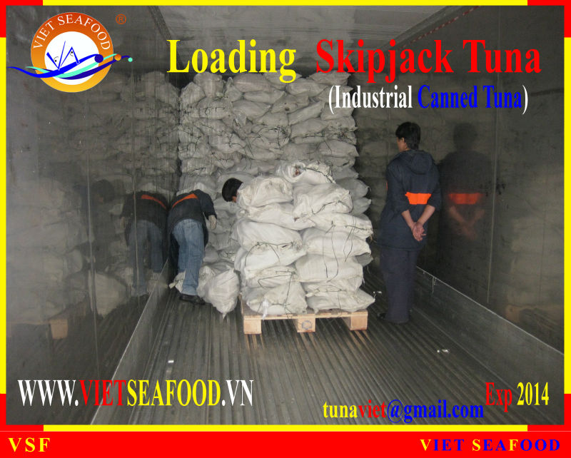 LOADING SKIPJACK TUNA W/R
