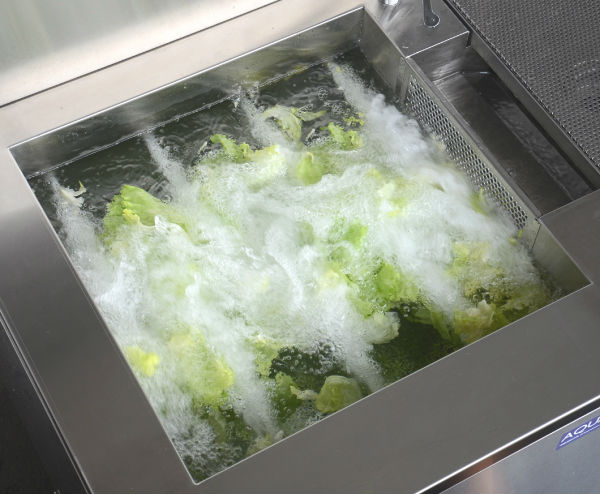 Japanese powerful small food washer for food processing machinery